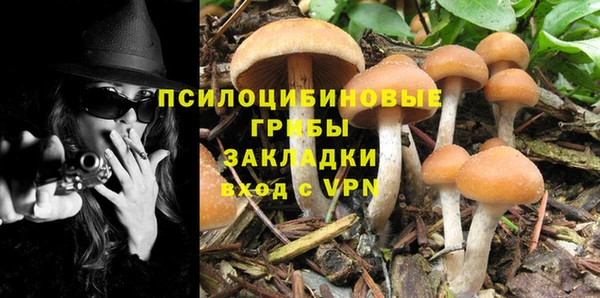 метамфетамин Аркадак